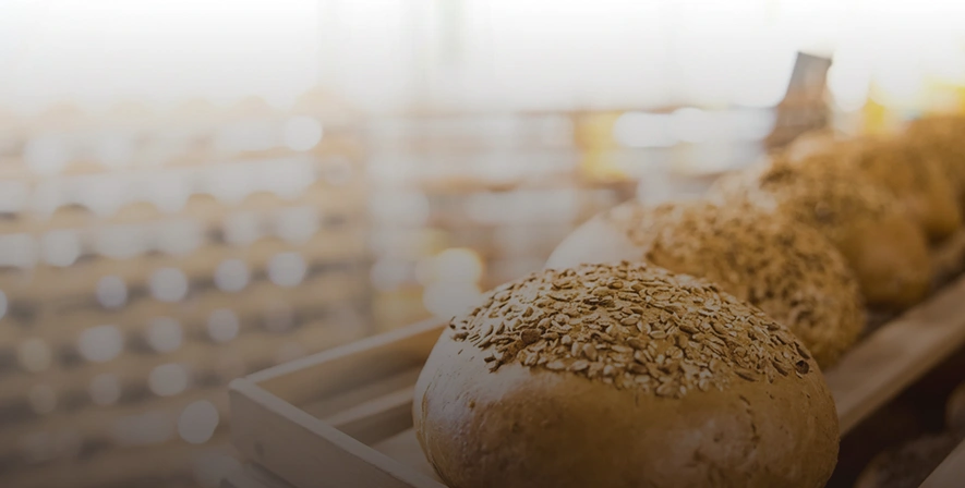 Bread