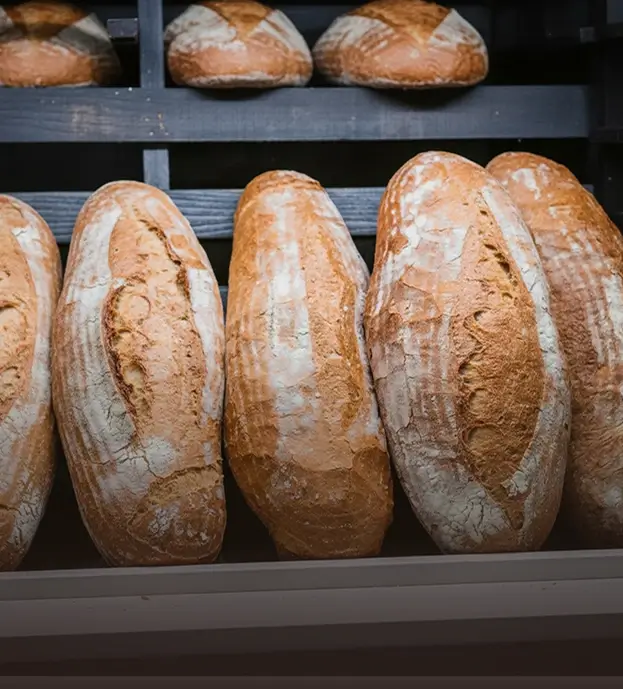 Bread